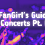 Bonus Fan-girl’s Guide to Concerts III ½ … Fandom Edition!